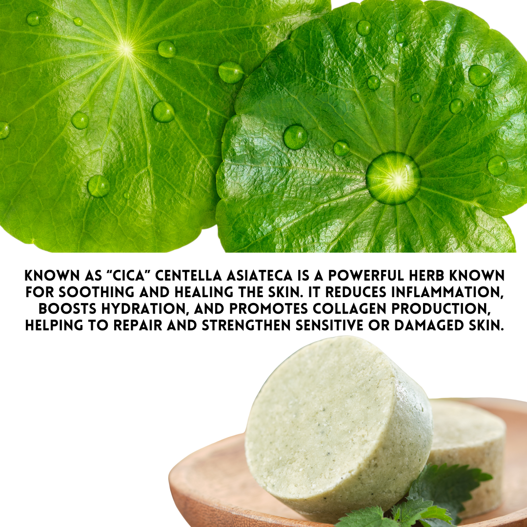 Organic Goat Milk & Centella Asiatica Soap – Nourishing Bar for Gentle Korean Skin Care